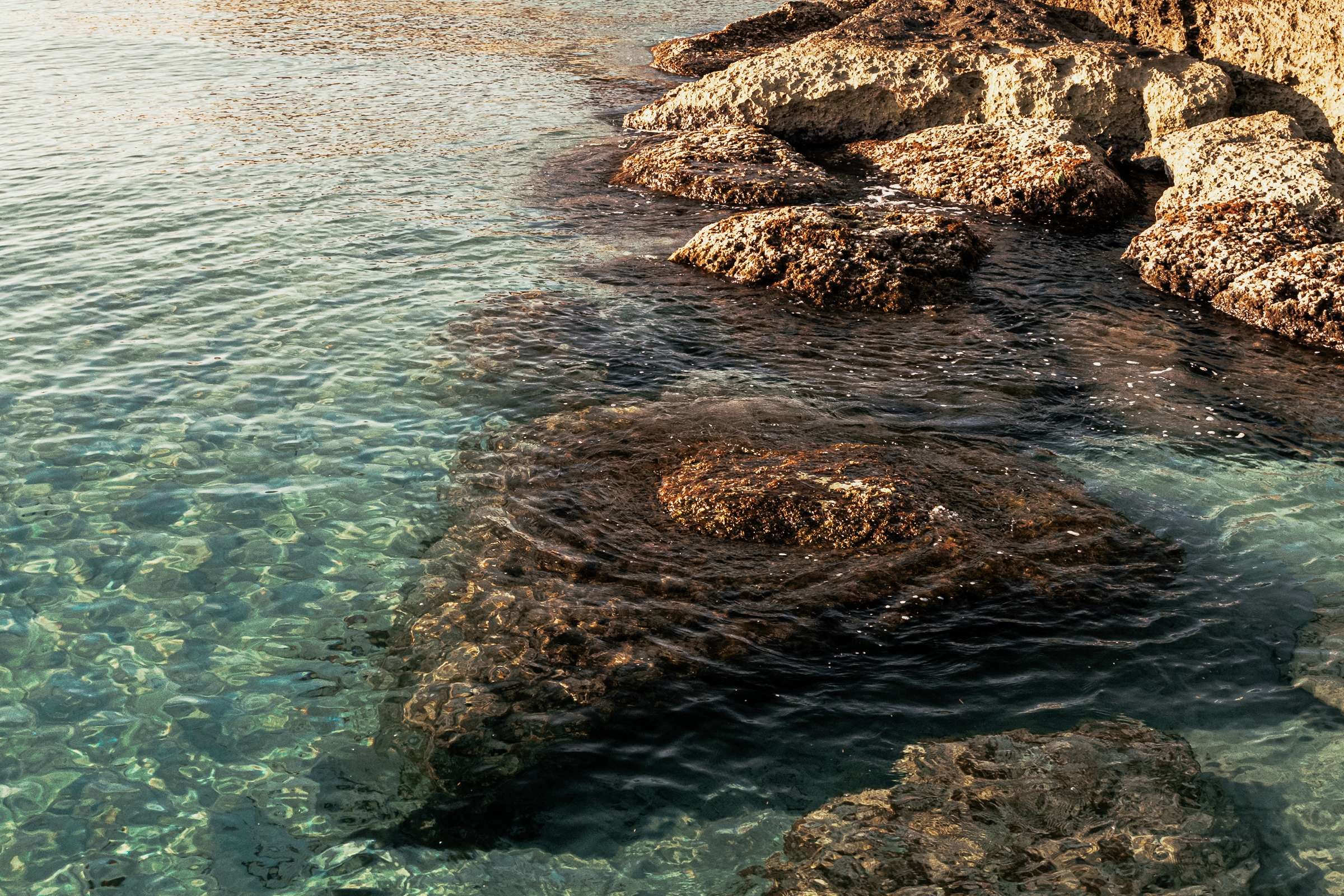 Villa MareInVista - Capitolo - Monopoli - Spiaggia